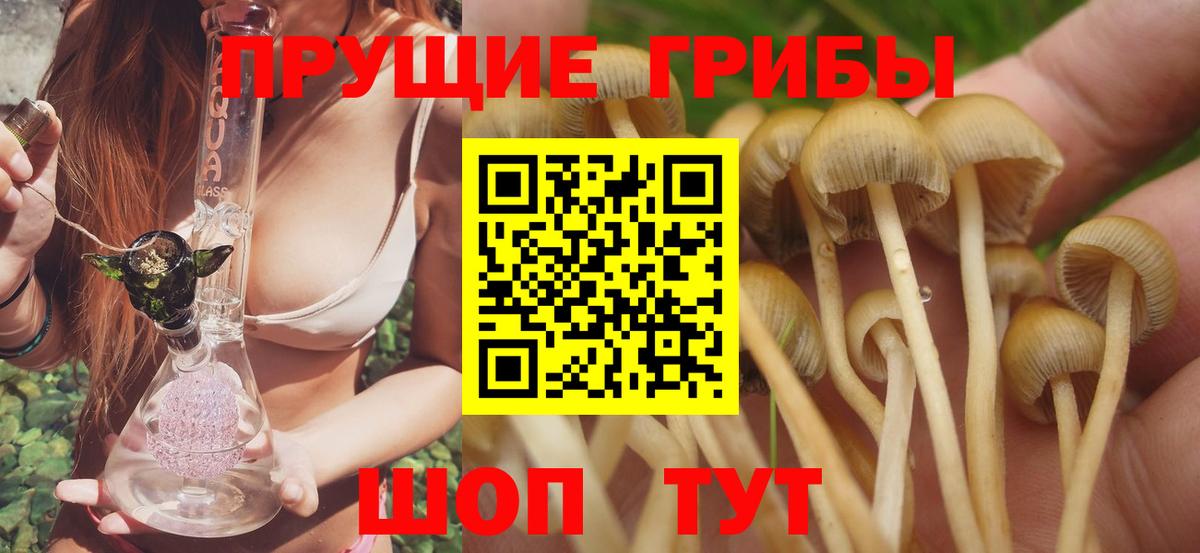 Галлюциногенные грибы Psilocybe  купить  цена  Минусинск  Вход с VPN 