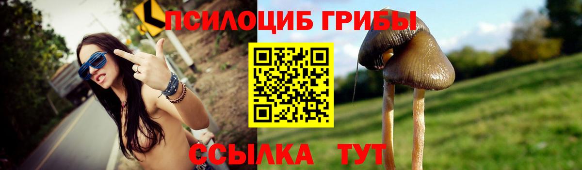 Галлюциногенные грибы мицелий Минусинск